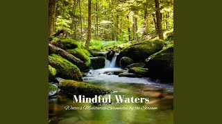 Rhythmic Streamside Contemplation