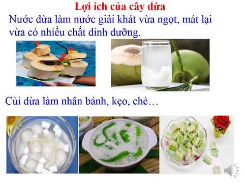 Video Bài giảng Tiếng Việt lớp 2 - Tuần 28 - Bài 28C Cây dừa