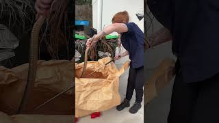 B9A14Caa E0A5 448F 9Ce5 69Da3F12Bef9