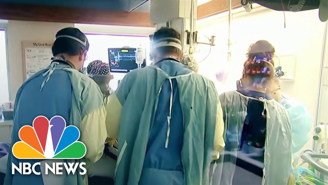 Leading Pandemic Experts Call For New U.S. Covid Strategy As Cases Surge