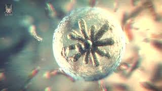 Heliopause – Nanobots