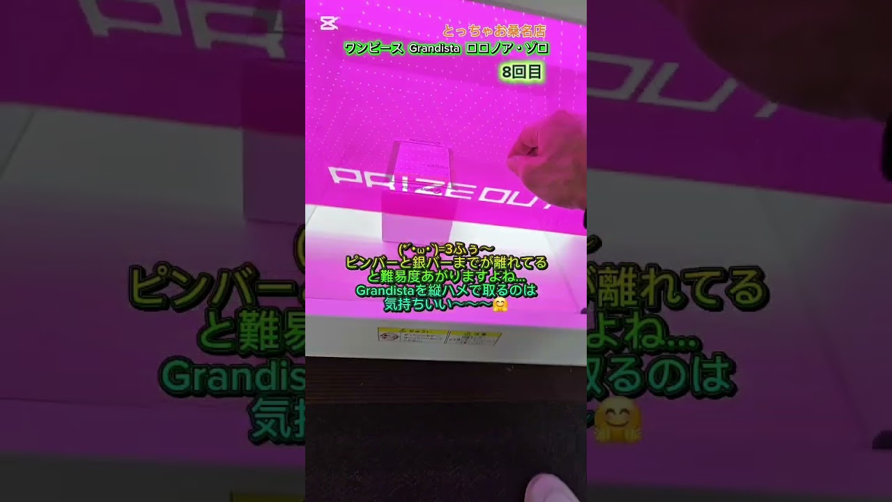 【クレーンゲーム】1月初めの新景品取るよ！