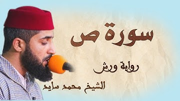 سورة ص | تلاوة هادئة ومتقنة للشيخ محمد سايد | برواية ورش