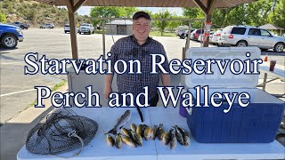 Starvation Perch and Walleye as Summer Begins