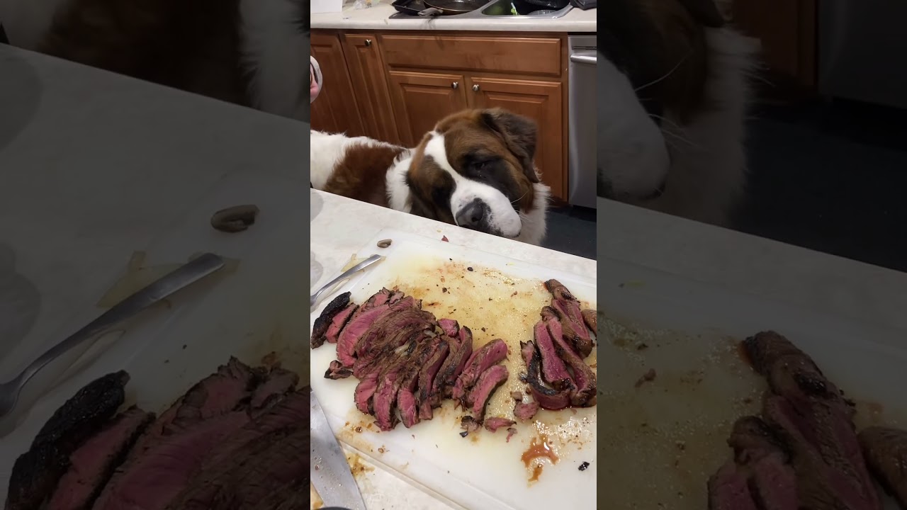 Keep Your Eyes On The Prize🐾 