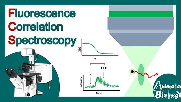 fluorescence correlation spectroscopy | FCS | How does FCS work? | Biological applications of FCS