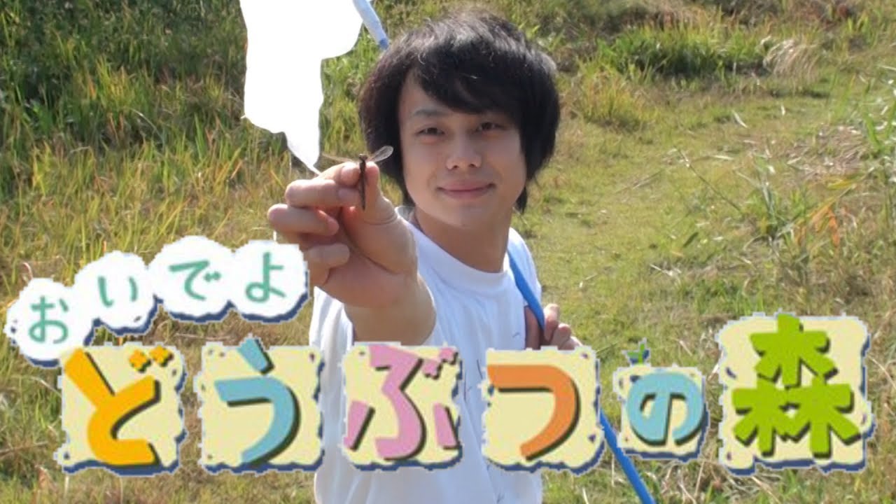 【低クオ】絶対来ないほうがいい、実写版『おいでよどうぶつの森』