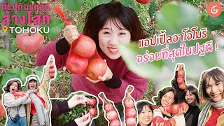 แอปเปิ้ลอาโอโมริ อร่อยที่สุดในปฐพี! | ทริปกินแหลกล้างโลก TOHOKU EP.6