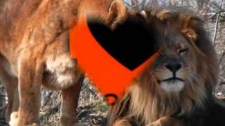 Bracket ft Flavour N' abania - beautiful.wmv