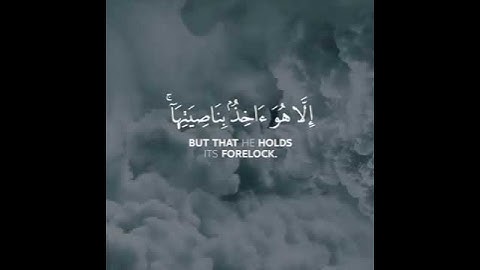 | سورة هود | الشيخ مشاري فالح | آيات-٥٦ |