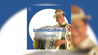 Dominguinhos - &quot;De Terezina a São Luis&quot;