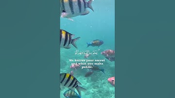 وَهُوَ اللَّهُ فِي السَّمَاوَاتِ وَفِي …  #فارس_عباد  #سورة_الأنعام الآية 3