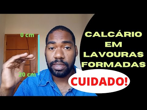 Vídeo: Beleza De Pear Talgar: Descrição E Características Da Variedade, Vantagens E Desvantagens, Recursos De Plantio E Cuidados + Fotos E Comentários