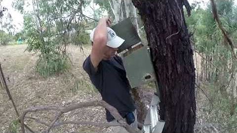 The Art of Nest Boxes