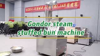 🚀 Gondor Steam Bun Making Machine – High Efficiency, Perfect Buns Every Time! 🥟