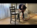 Furniture Upholstery Cleaning Service