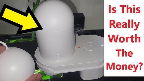 What Nobody Tells You About Getting a Smart Automatic Fish Feeder