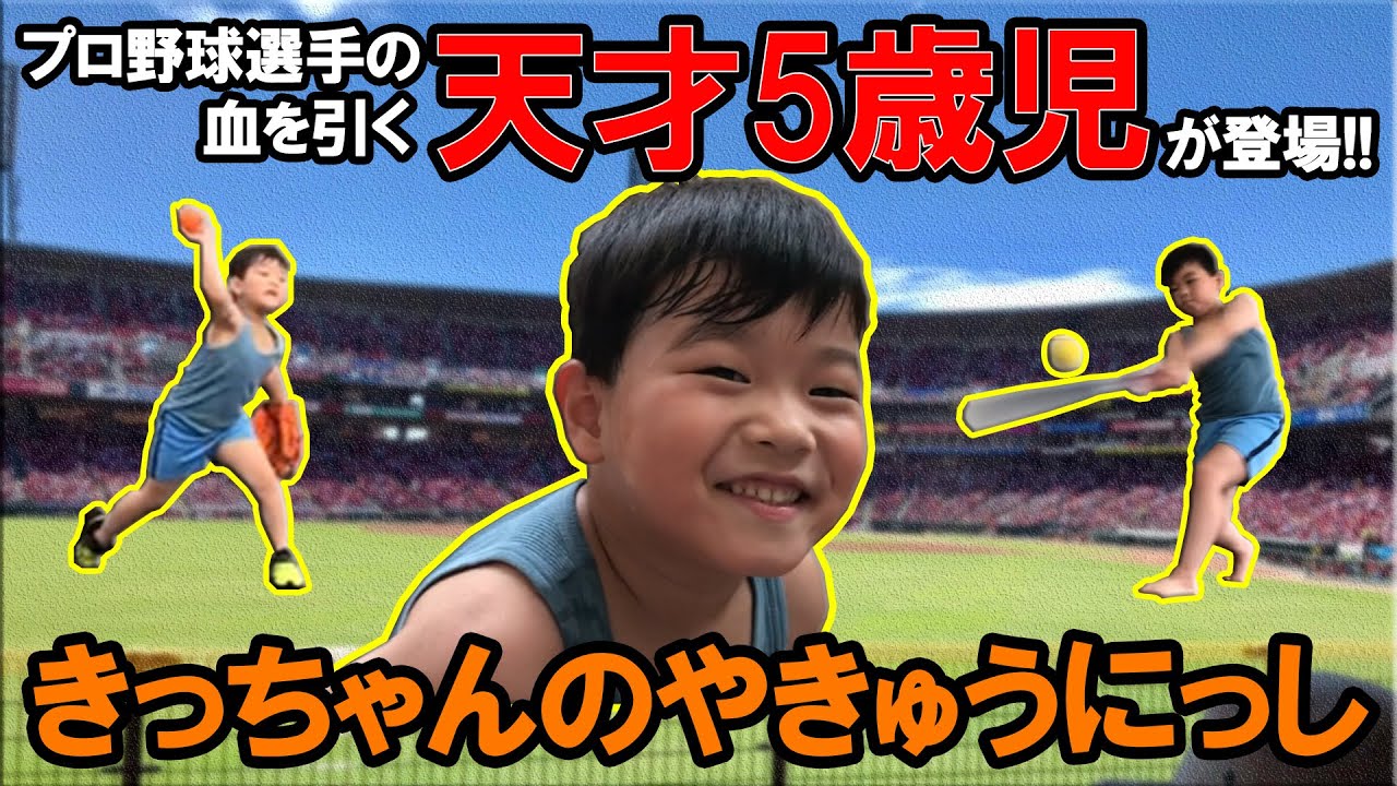 プロ野球選手の血を引く天才5歳児 きっちゃん登場 きっちゃんのやきゅうにっし Youtube