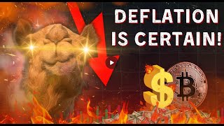 People said it was crazy... They were wrong...