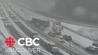 Heavy snow hits Metro Vancouver