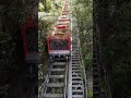 World's steepest railway, Blue mountains, Australia.