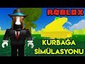 🐸 Kurbağa Simülasyonu 🐸 | Frog Simulator | Roblox Türkçe