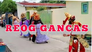 Vlog_Live Show Reog GANCAS MANTUL|| Celeng lohbener
