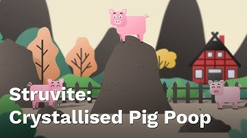 Smart Nutrient Recycling With a Slow-Release Fertiliser