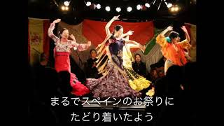 Viva Flamenco vol 2 ～Y Chiakiフラメンコ教室～