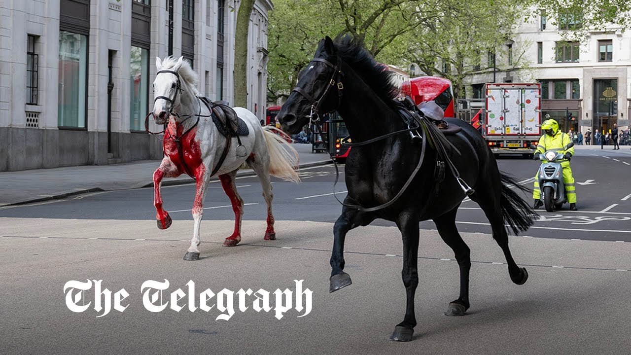 One vers of god save the king household cavalry trooping the colour #thekingsguard