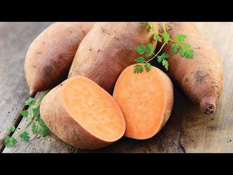 Video LOÉT DẠ DÀY - KHOAI LANG TRỊ LOÉT DẠ DẦY - LƯƠNG Y... - youtube