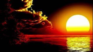 20 فبراير 2024