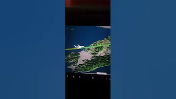 Jal Airline 
