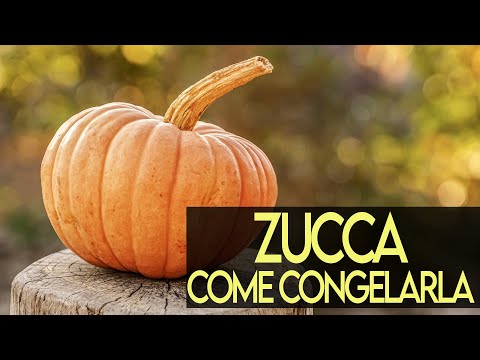 Video: Come Congelare La Zucca