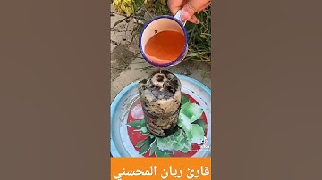 #قرانكريم#القاريء #ريان_المحيسني #تلاوة_خاشعة #تلاوة_نادرة_لاول_مرة #اكتب_شي_تؤجر_عليه #اكسبلور