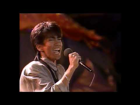 Lazy Daisy 安全地帯