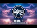 Calvin Harris & Ellie Goulding - Miracle (Hardwell Remix)