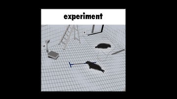 experiment by mbed and more | easy demon
