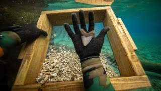 I Found a Megalodon Shark Tooth Underwater While Fossil Hunting! (How to Find Shark Teeth)