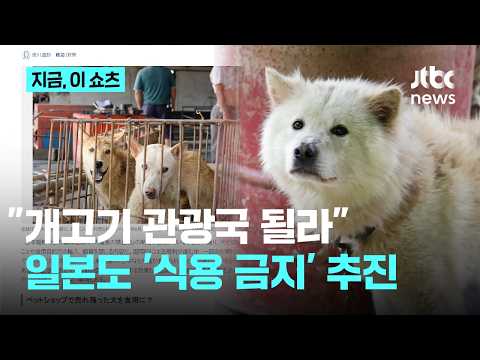 '개고기 먹으러 일본행?'…일본 연립여당서 '식용 금지법' 추진｜지금 이 쇼츠