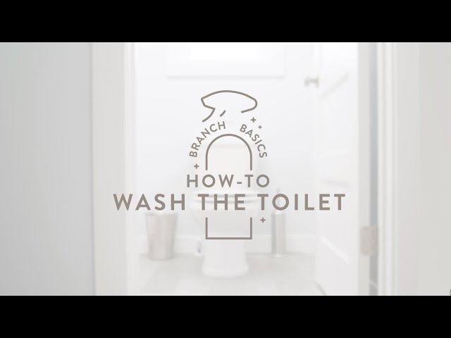 How To Clean A Toilet: The Basics