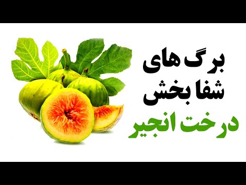 تصویری: 10 فریب جهانی بشریت