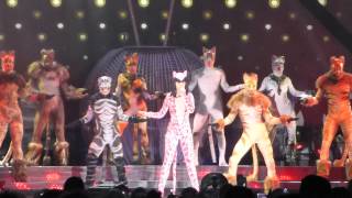 Katy Perry - Hot N Cold @ Tacoma Dome, Seattle 2014