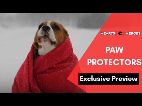 Exclusive Preview: Episode 804, Paw Protectors