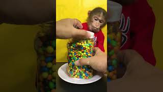 Cute Monkey Review Large Seven Color Chocolate Candy