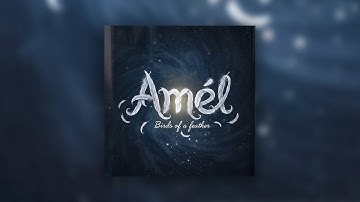 Billie Eilish - Birds Of A Feather (Amél Remix) // Official Music Video