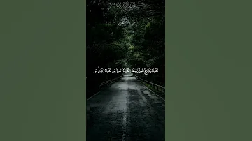 سورة آل عمران القارئ ماهر المعيقلي الحمدلله سبحان الله قرآن الله اكبر لاإله الاالله Quran لايك 