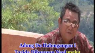 Arvindo Simatupang - Adong Do Halongangan