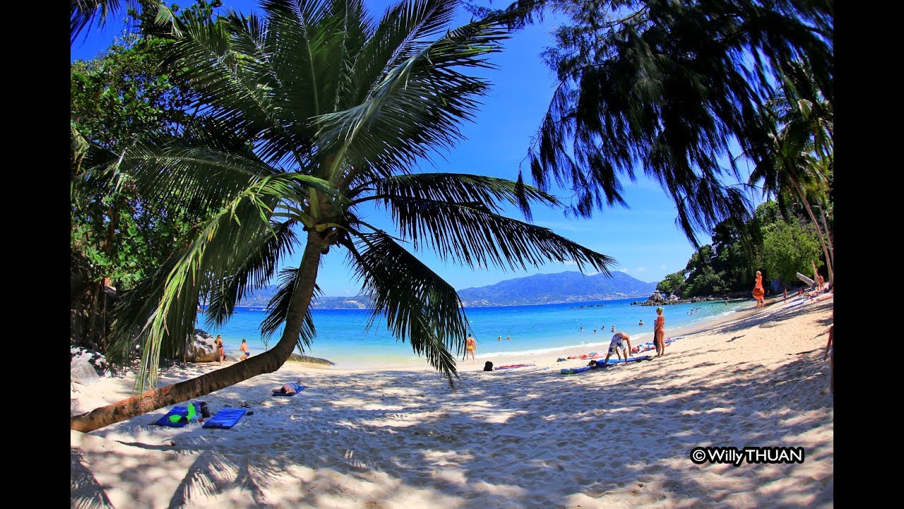 Paradise Paradise