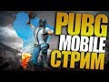 АС 4 ЗВЁЗДЫ. ПУТЬ К ЗАВОЕВАТЕЛЮ. PUBG MOBILE